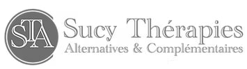 logo sta